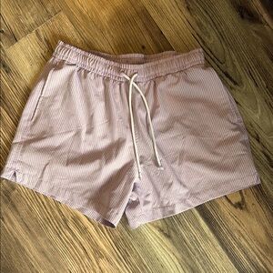 Abercrombie & Fitch Purple Striped Swim Shorts